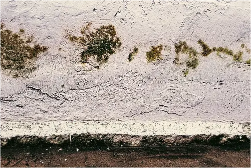 photo-wall-texture-pattern_58702-15332